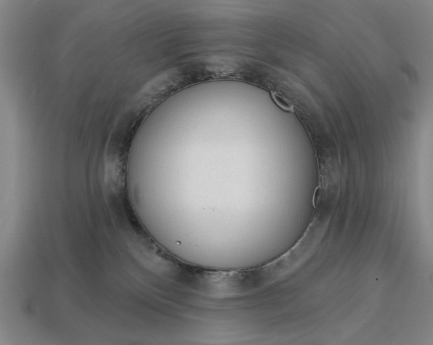 X0000113130136200909181717