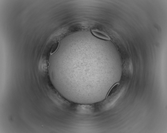 X0000113130137200909181717