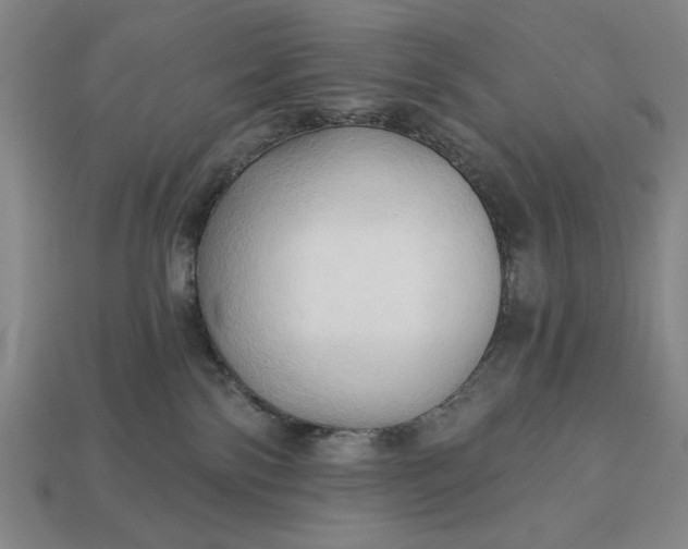 X0000113130138200909181717