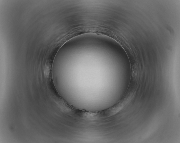 X0000113130139200909181717