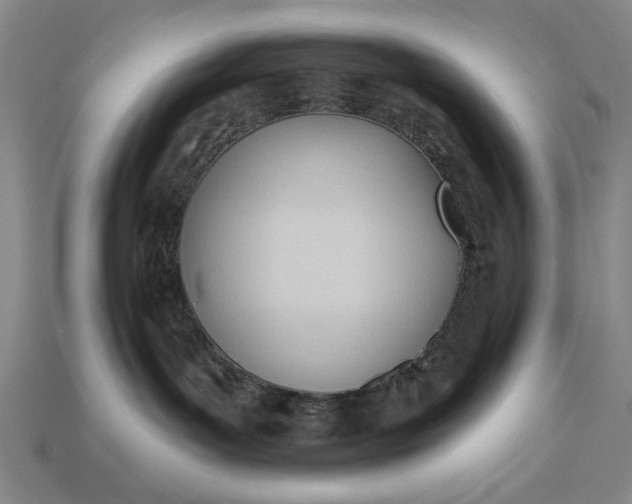 X0000113130143200909181717