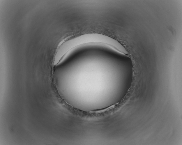 X0000113130144200909181717