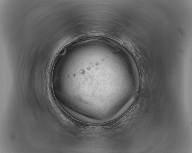 X0000113130145200909181716