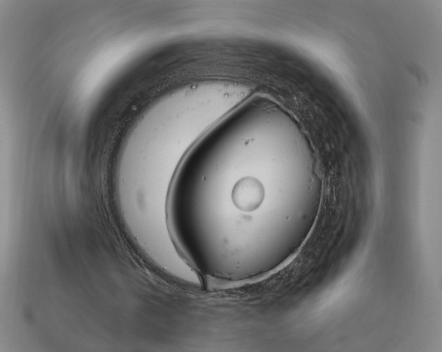 X0000113130146200909181716