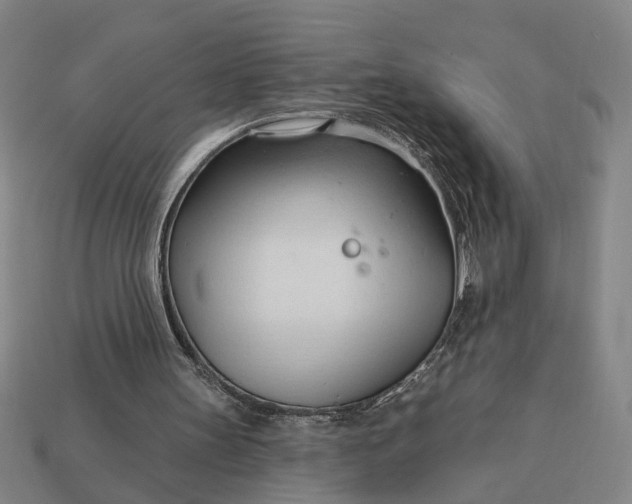 X0000113130147200909181716