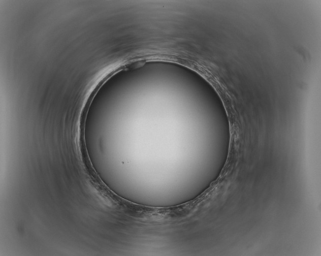 X0000113130148200909181716