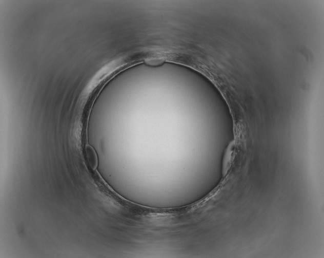 X0000113130150200909181716