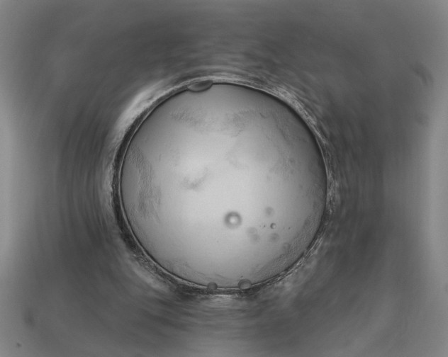 X0000113130151200909181716