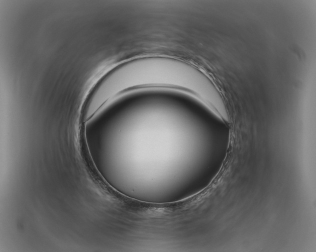 X0000113130152200909181716