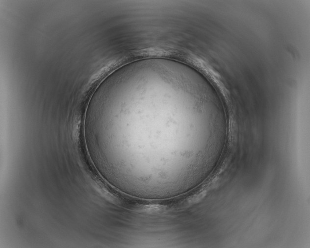 X0000113130153200909181716