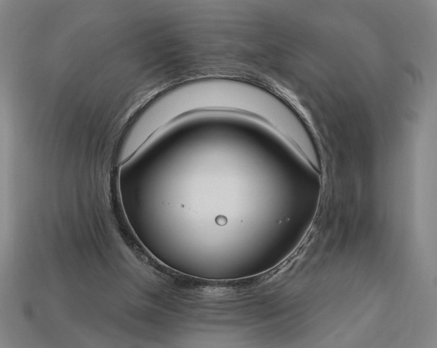 X0000113130154200909181716