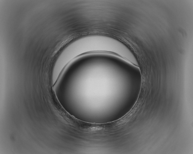 X0000113130158200909181716