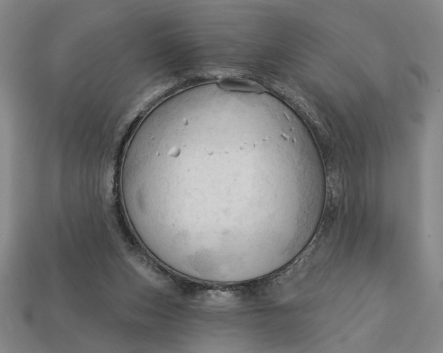 X0000113130159200909181716