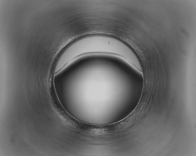 X0000113130160200909181716