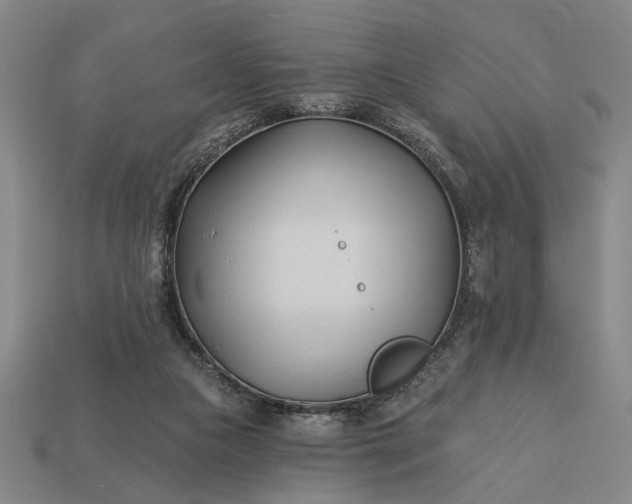 X0000113130161200909181716