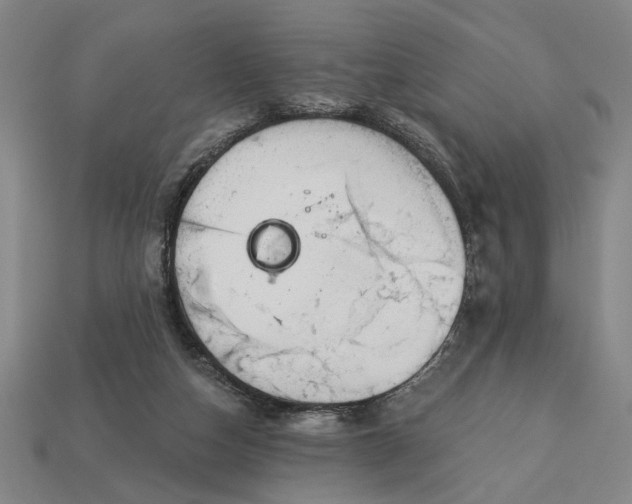 X0000113130162200909181716