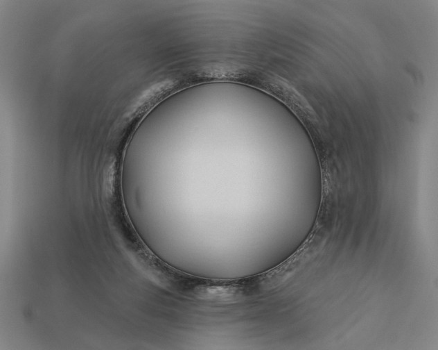 X0000113130163200909181716