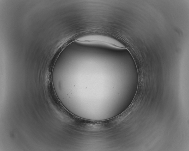 X0000113130164200909181716