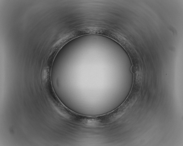 X0000113130165200909181716