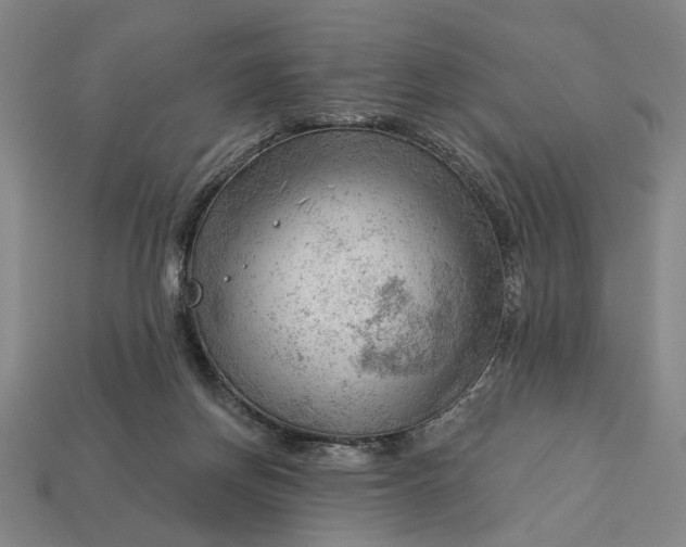 X0000113130166200909181716