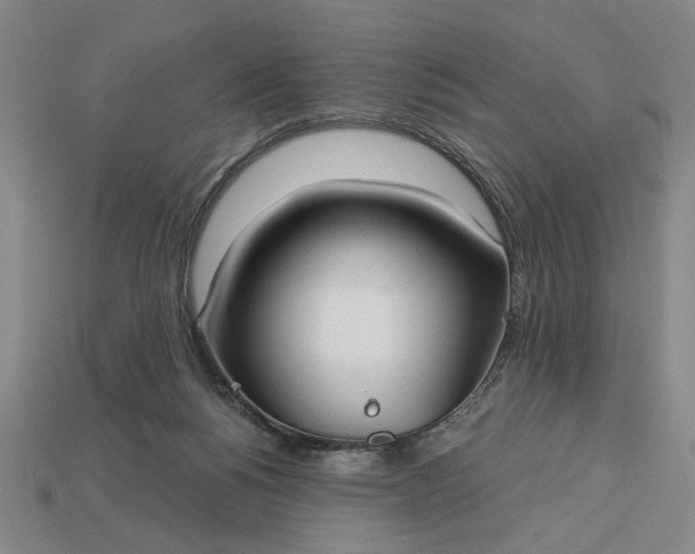 X0000113130168200909181716