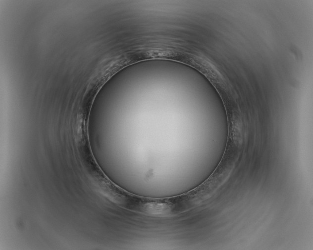 X0000113130169200909181716