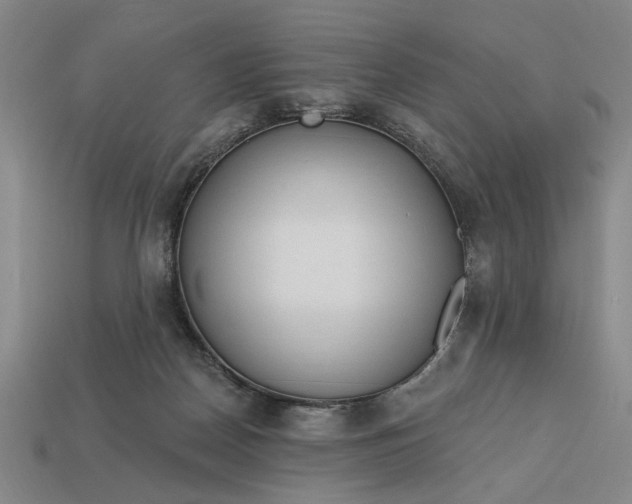 X0000113130170200909181716