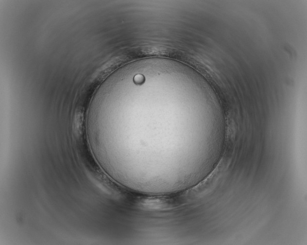 X0000113130171200909181716