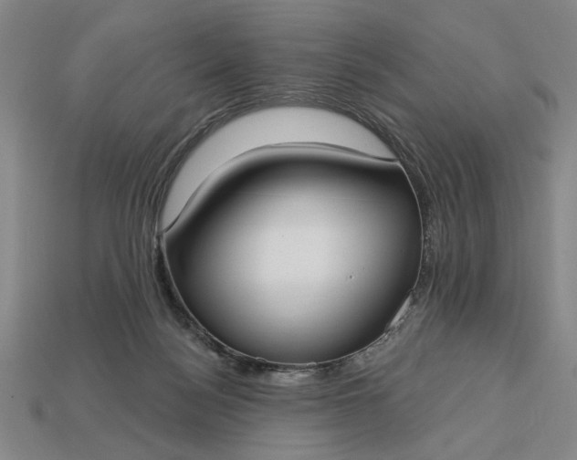 X0000113130172200909181716