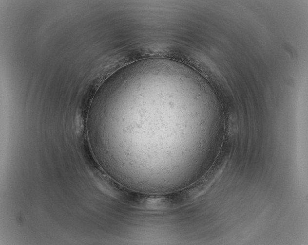 X0000113130173200909181716