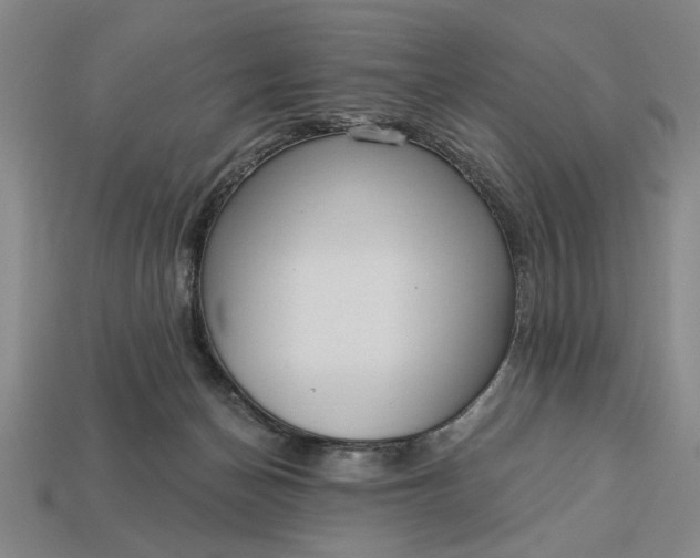 X0000113130174200909181716