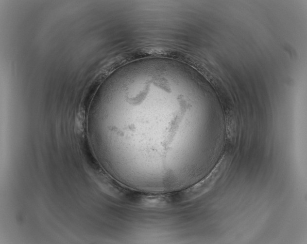 X0000113130175200909181716