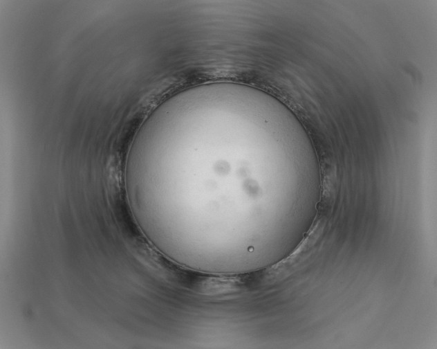 X0000113130179200909181716