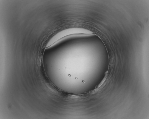 X0000113130180200909181716