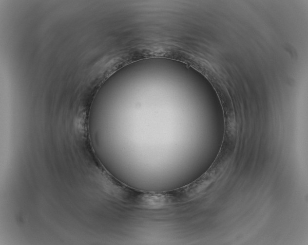 X0000113130181200909181716