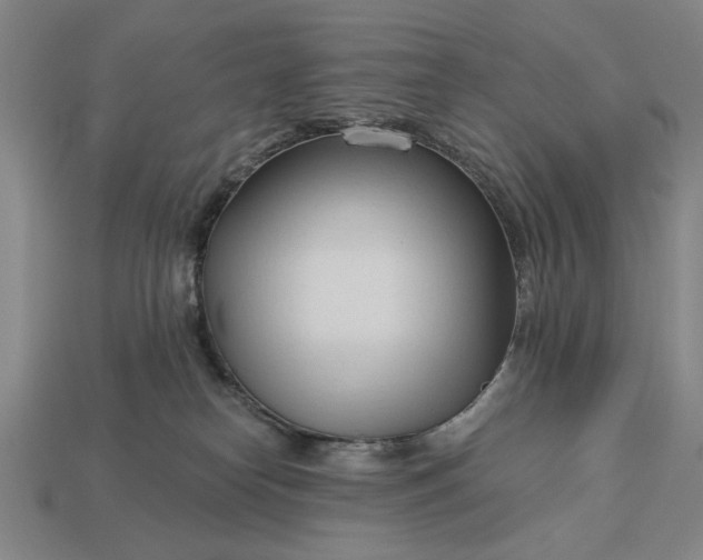 X0000113130182200909181716