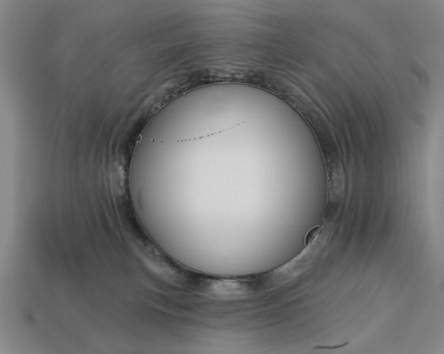 X0000113130183200909181716