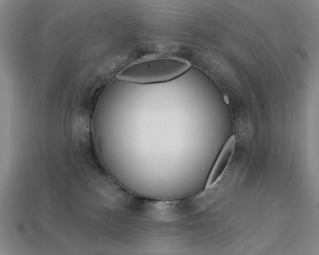 X0000113130184200909181716