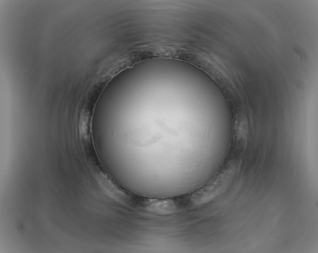 X0000113130185200909181717