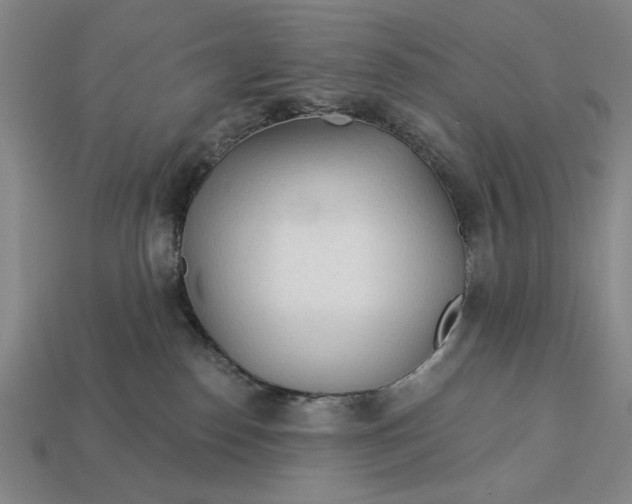 X0000113130186200909181717