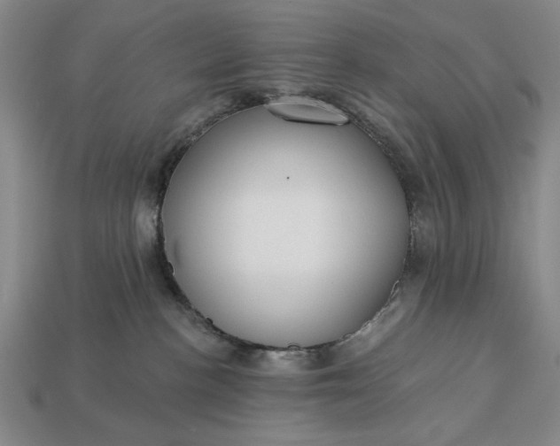 X0000113130188200909181717