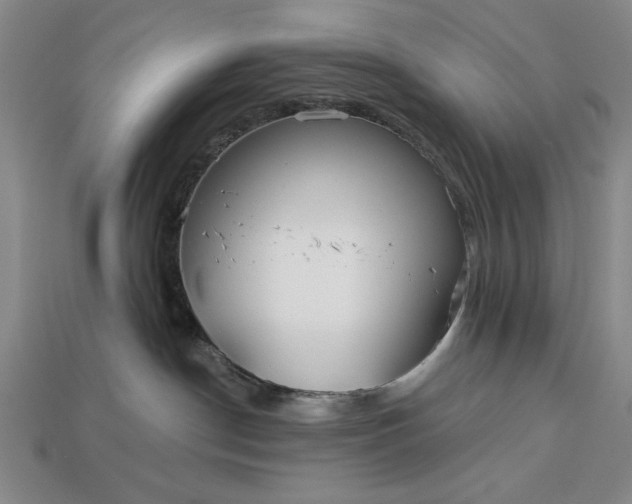 X0000113130190200909181717