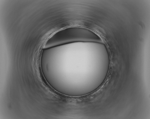 X0000113130193200909181716