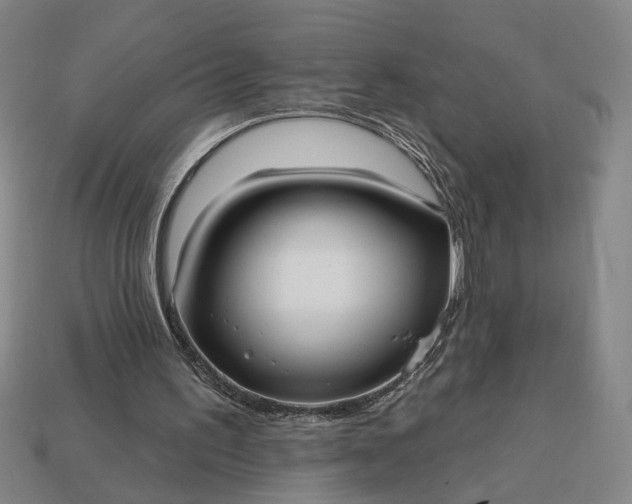 X0000113130195200909181716