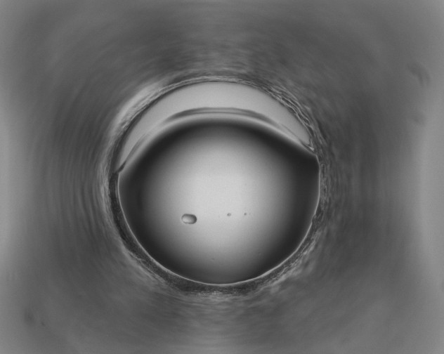 X0000113130197200909181716