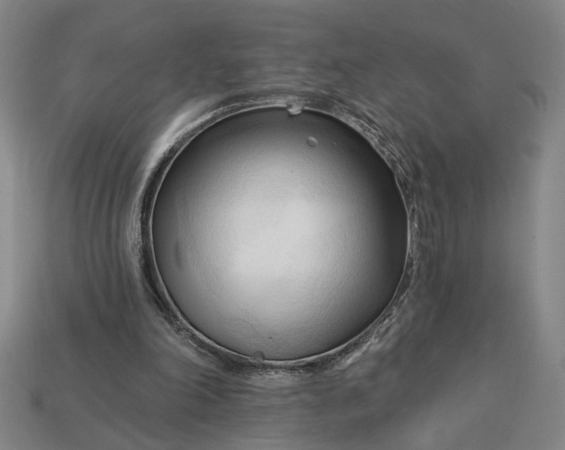 X0000113130198200909181716