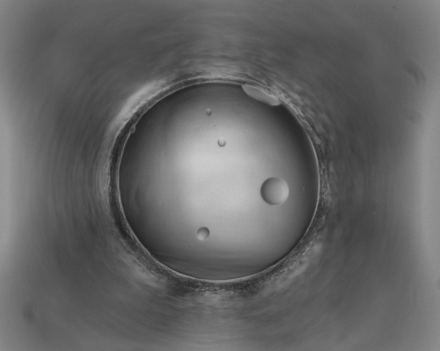 X0000113130199200909181716