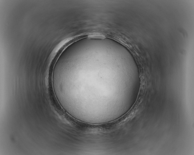 X0000113130200200909181716