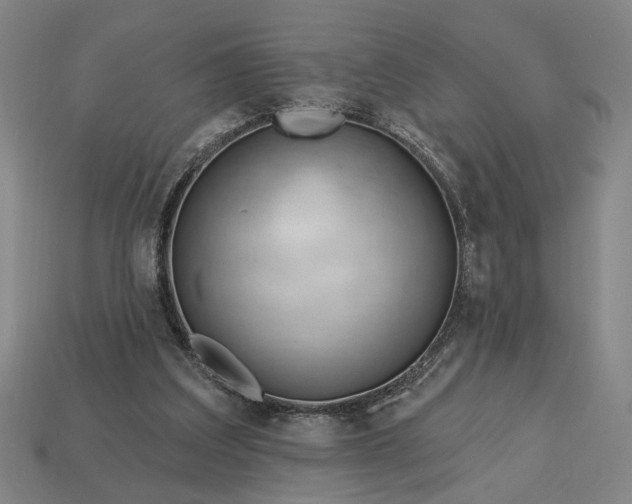 X0000113130203200909181716