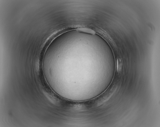 X0000113130204200909181716